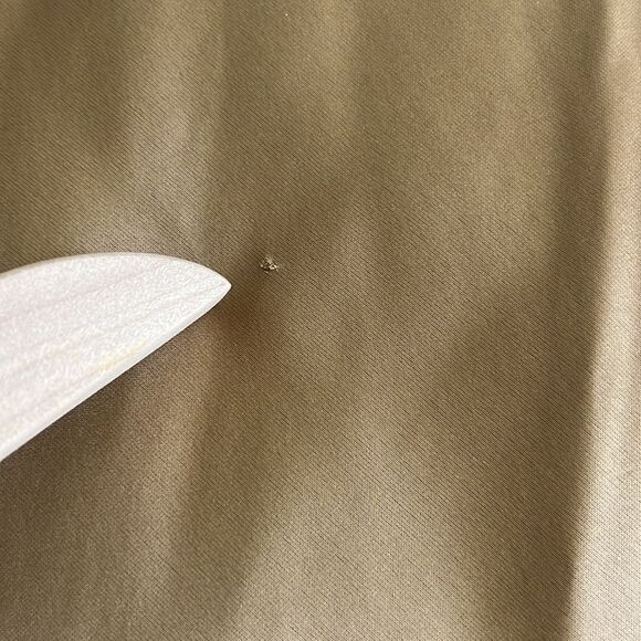 J. Crew Gwyneth slip dress in luster charmeuse satin in Size 2 - Picture 9 of 15